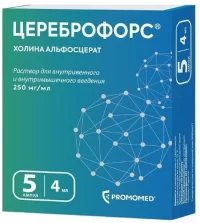 Choline alfoscerate (Cerebroforce) injections 0.25 mg/ml 4 ml - [5 ampoules]