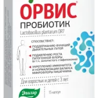 Maltodextrin, Lactobacillus plantarum (Orvis Probiotic Respiratory Evalar) - [15 capsules]